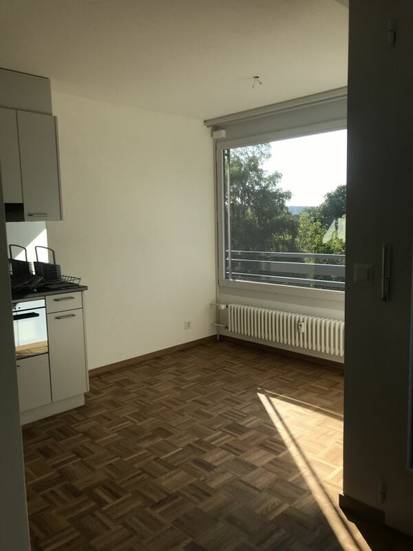 1 ½ rooms apartment, photo 9 sur 10