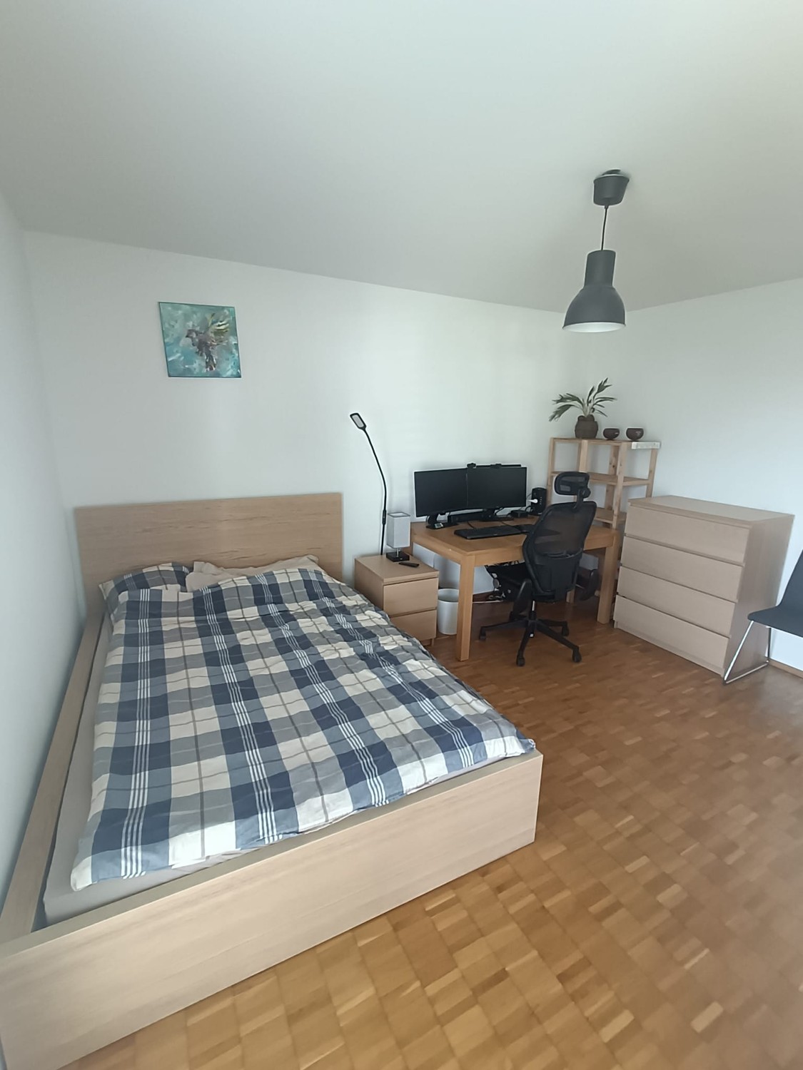 Room in a shared flat