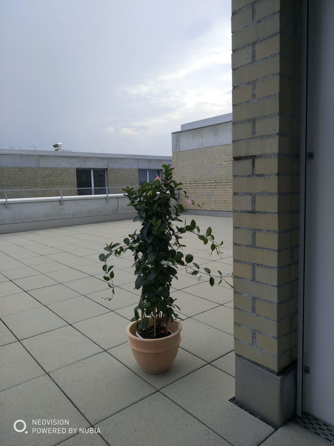 Appartement de 3 ½ pièces, photo 4 sur 8