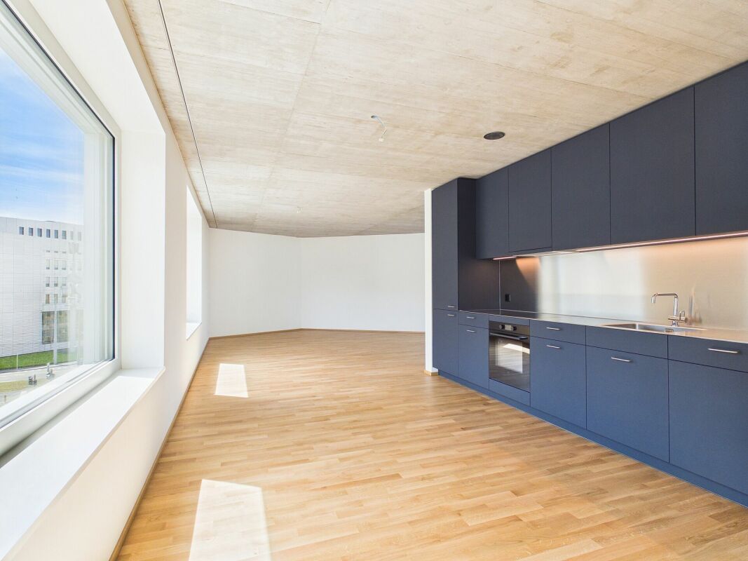 1 ½ rooms apartment, photo 1 sur 10