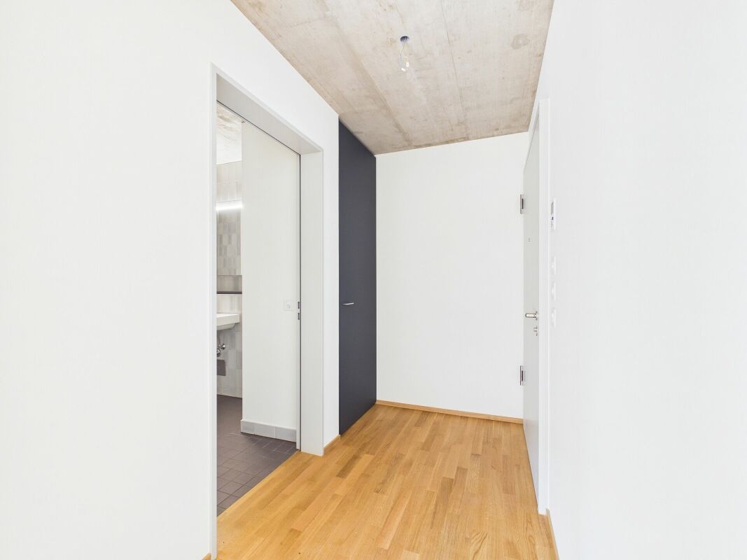 1 ½ rooms apartment, photo 3 sur 10