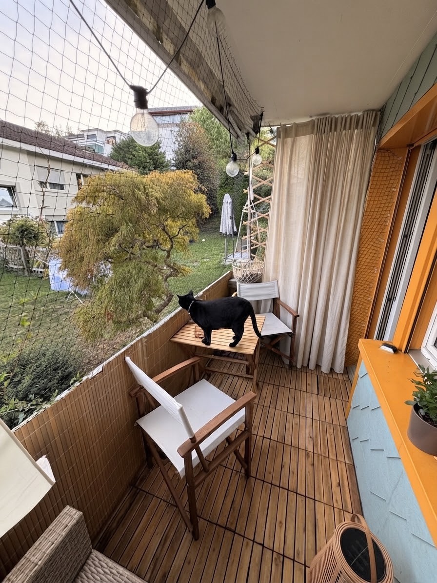 Appartement de 2 ½ pièces