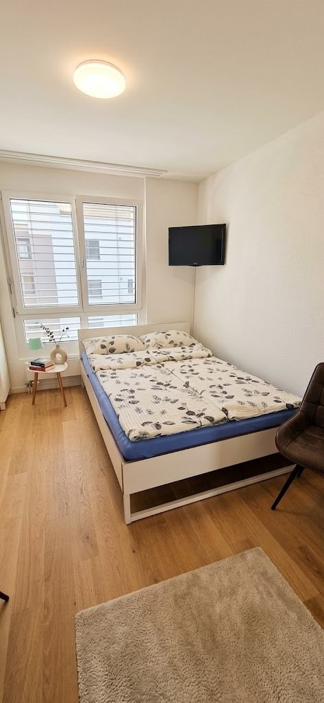 appartement meublé 1 pièce, photo 3 sur 3
