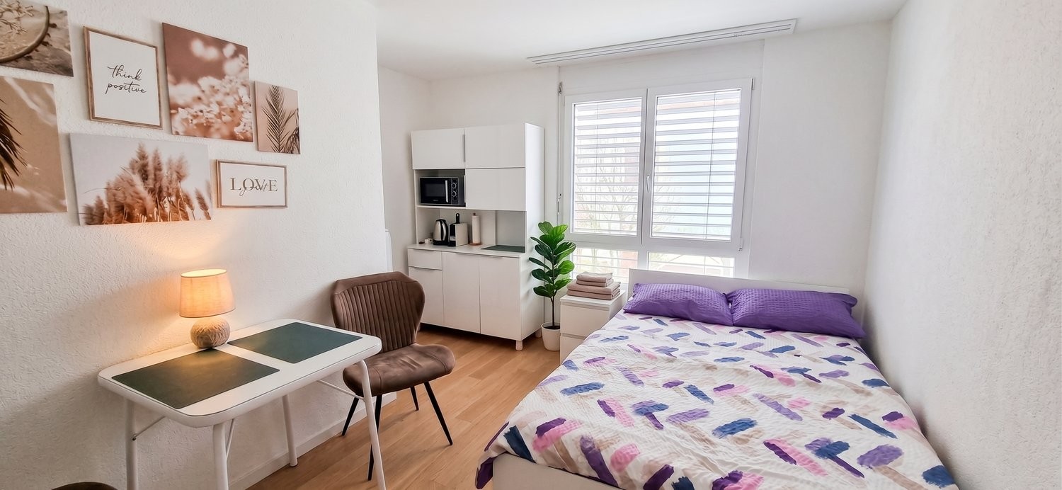 appartement meublé 1 pièce, photo 1 sur 3