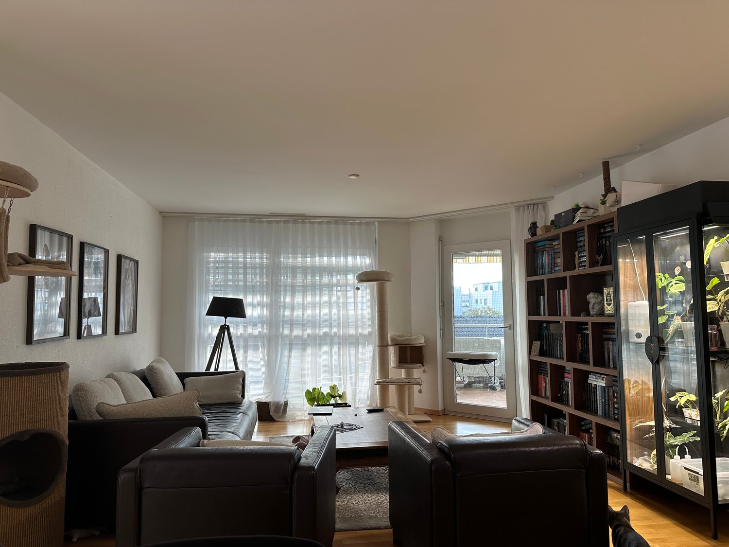 Chambre en colocation, photo 2 sur 2