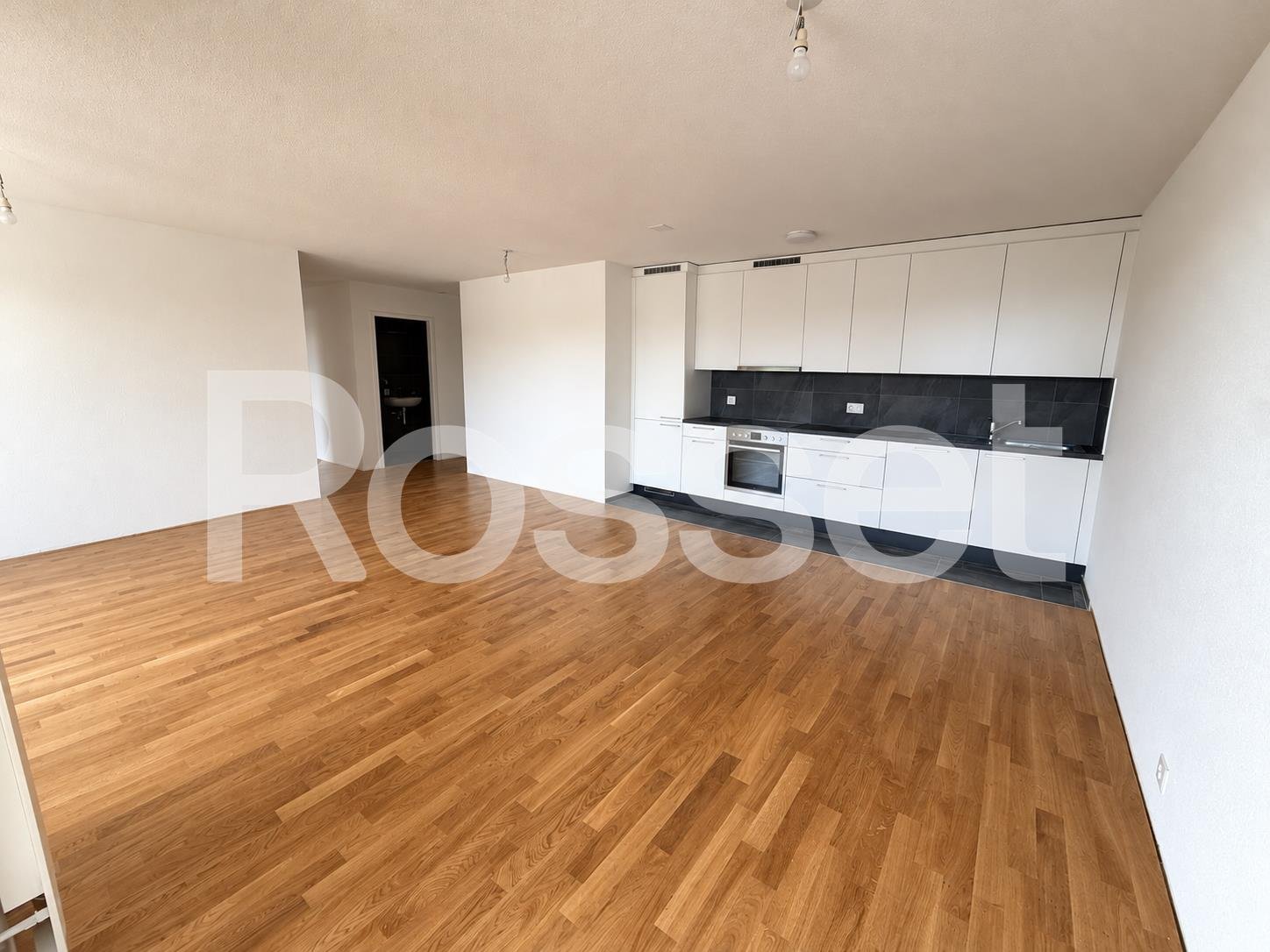 2 ½ rooms apartment, photo 2 sur 6