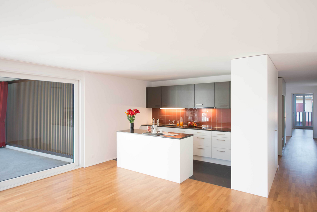 Appartement de 3 ½ pièces, photo 2 sur 8