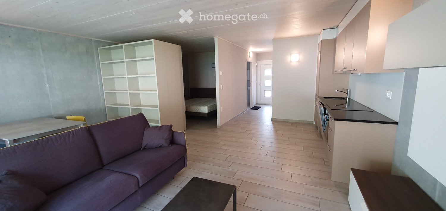 2 ½ rooms apartment