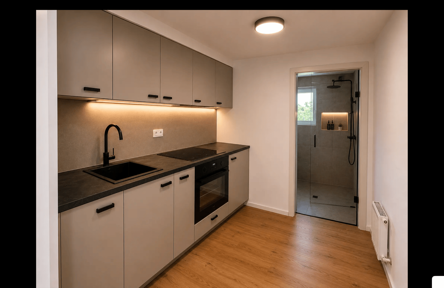 Appartement de 2 ½ pièces, photo 3 sur 5