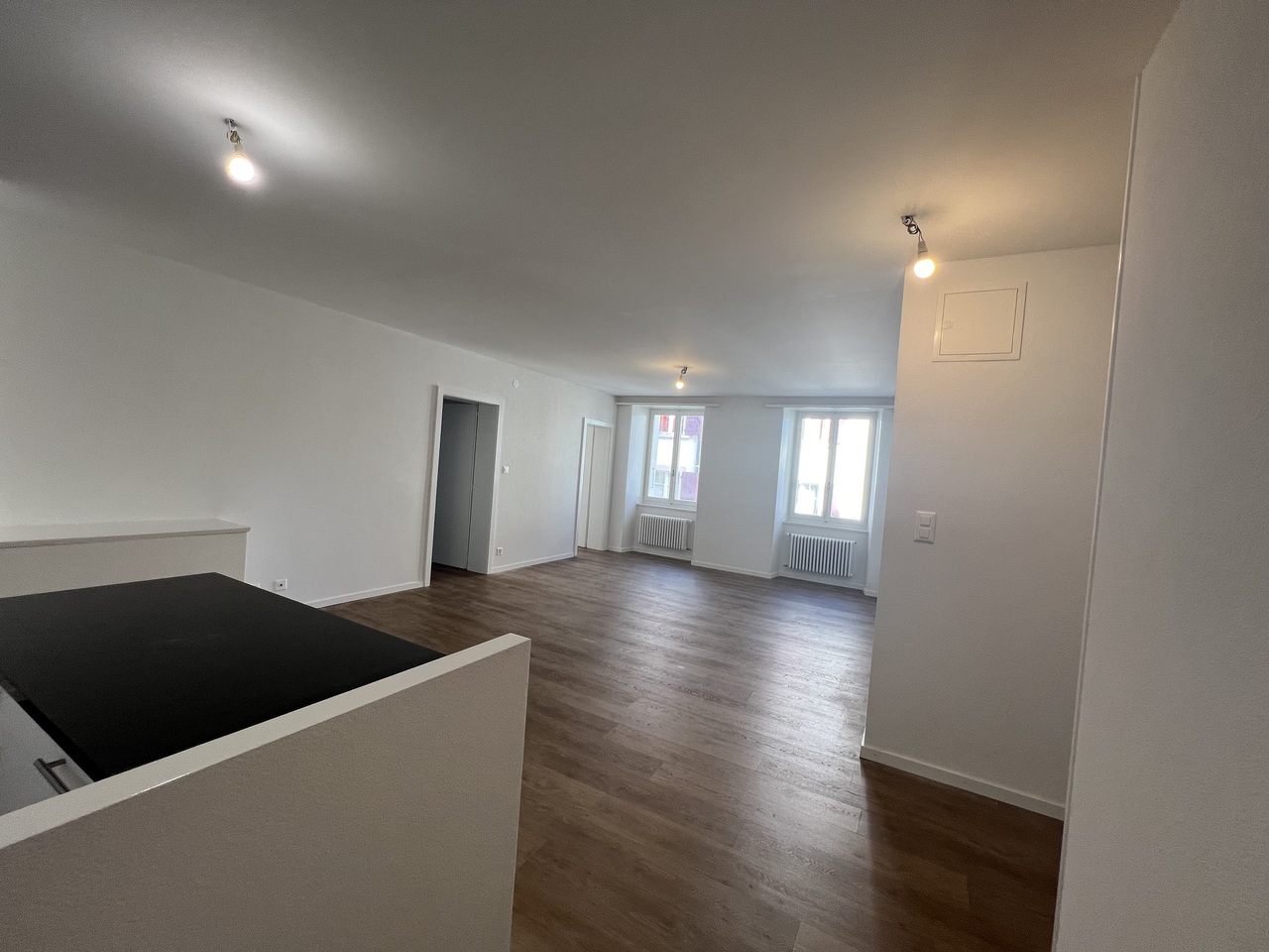 4 ½ rooms apartment, photo 2 sur 7