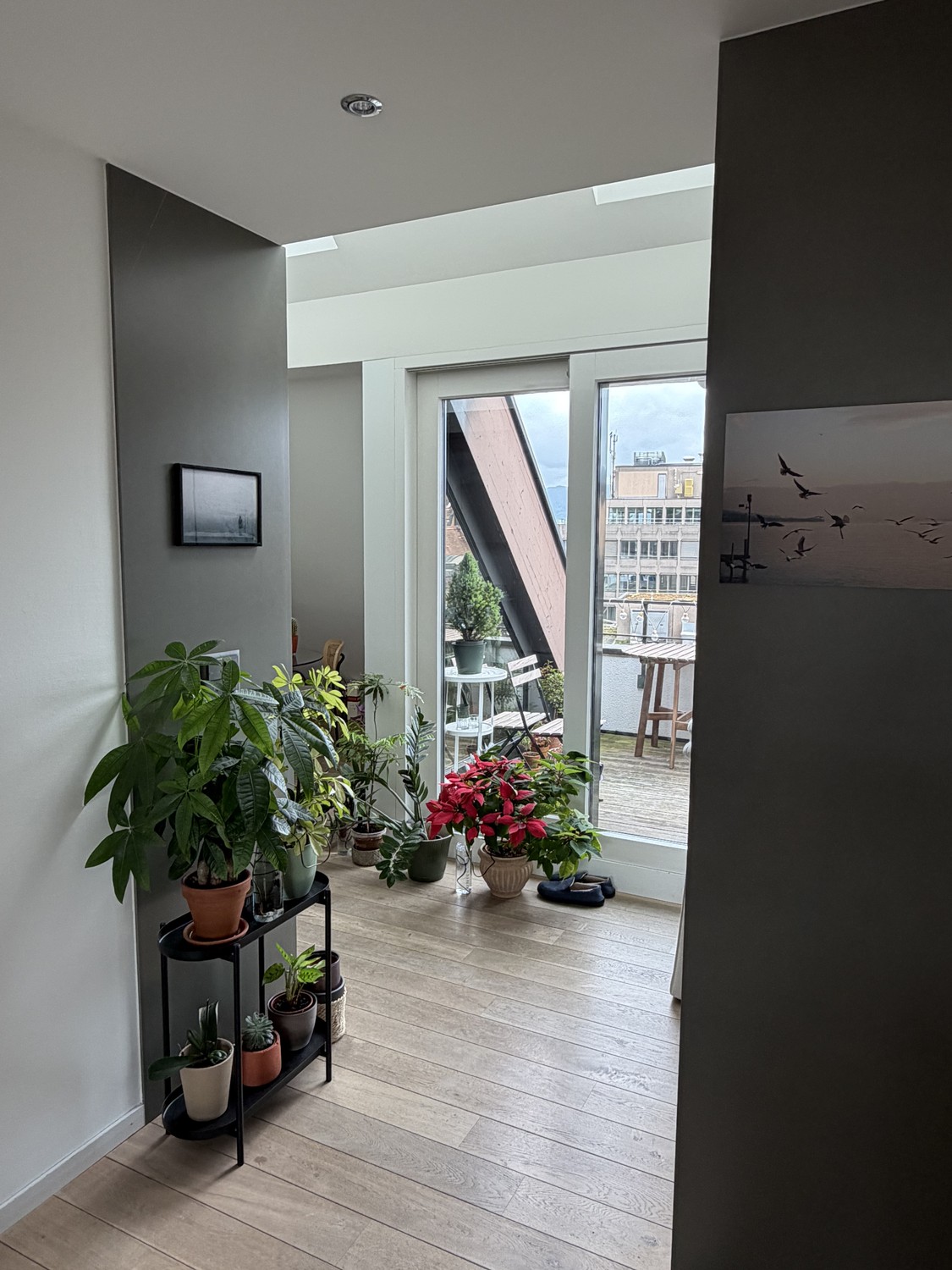 2 ½ Zimmer-Wohnung