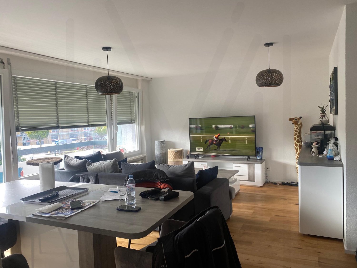 45 rooms apartment, photo 9 sur 10