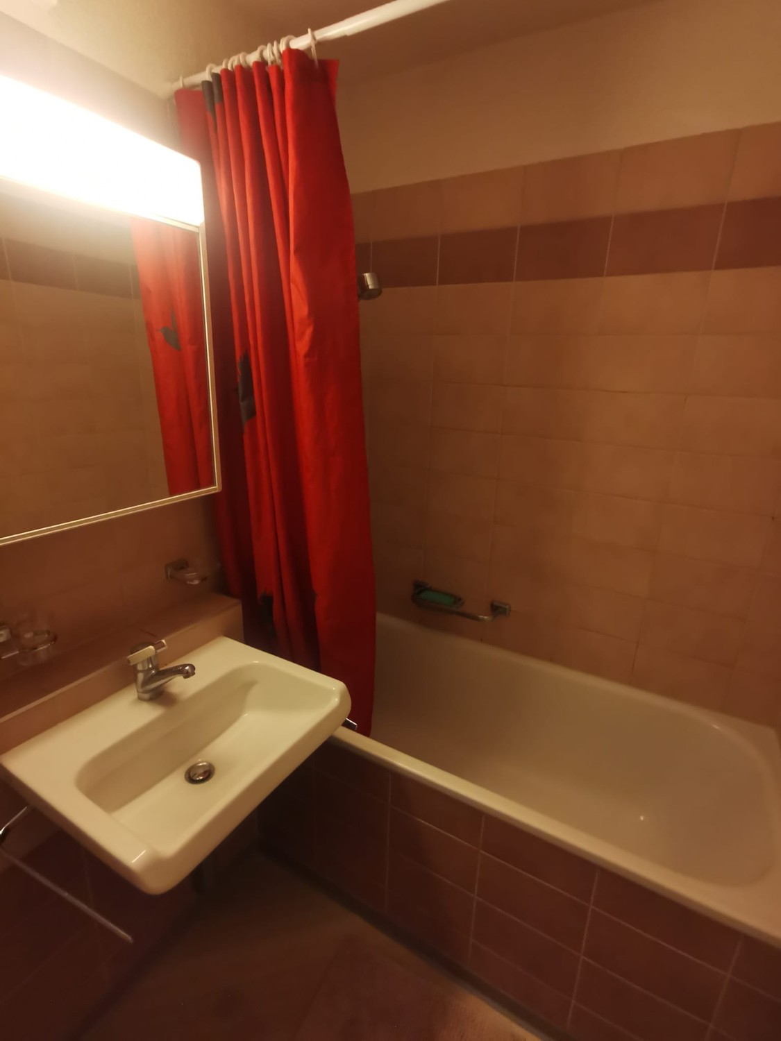 Appartement 1 pièce
