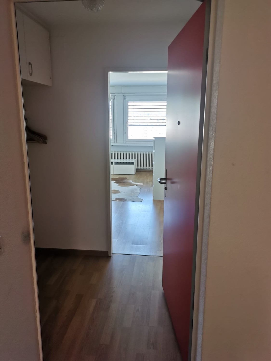 Appartement 1 pièce