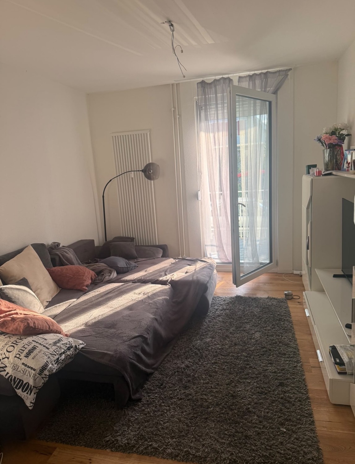 Appartement de 2 ½ pièces, photo 2 sur 10