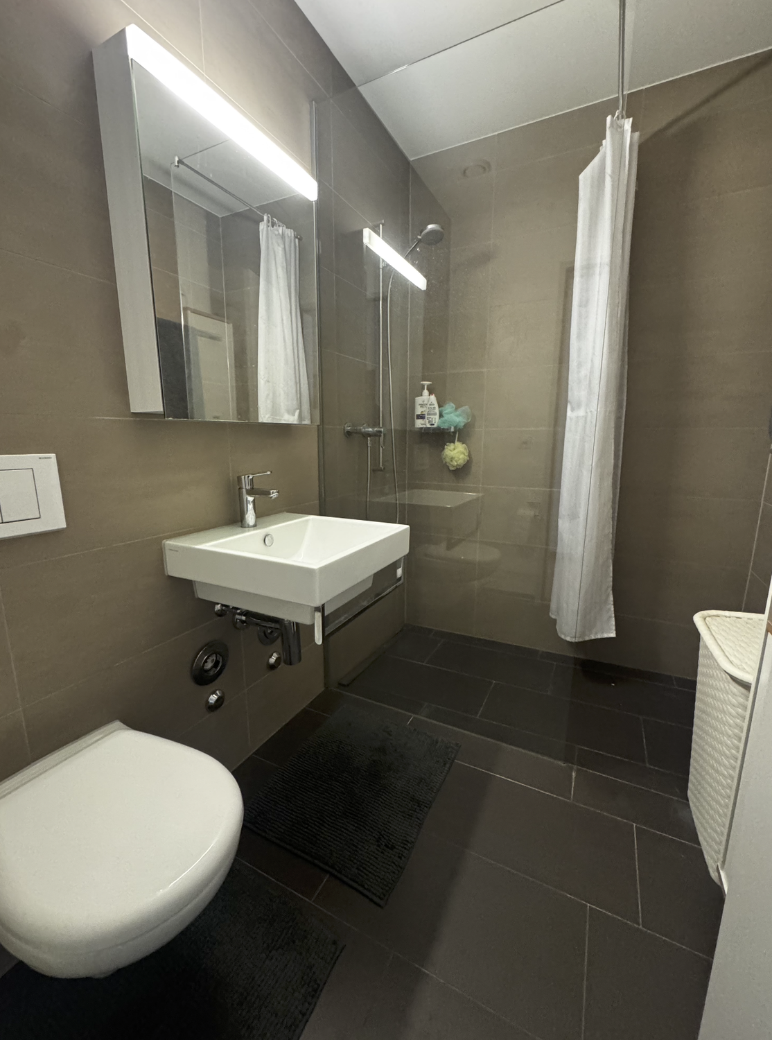 Chambre dans une colocation