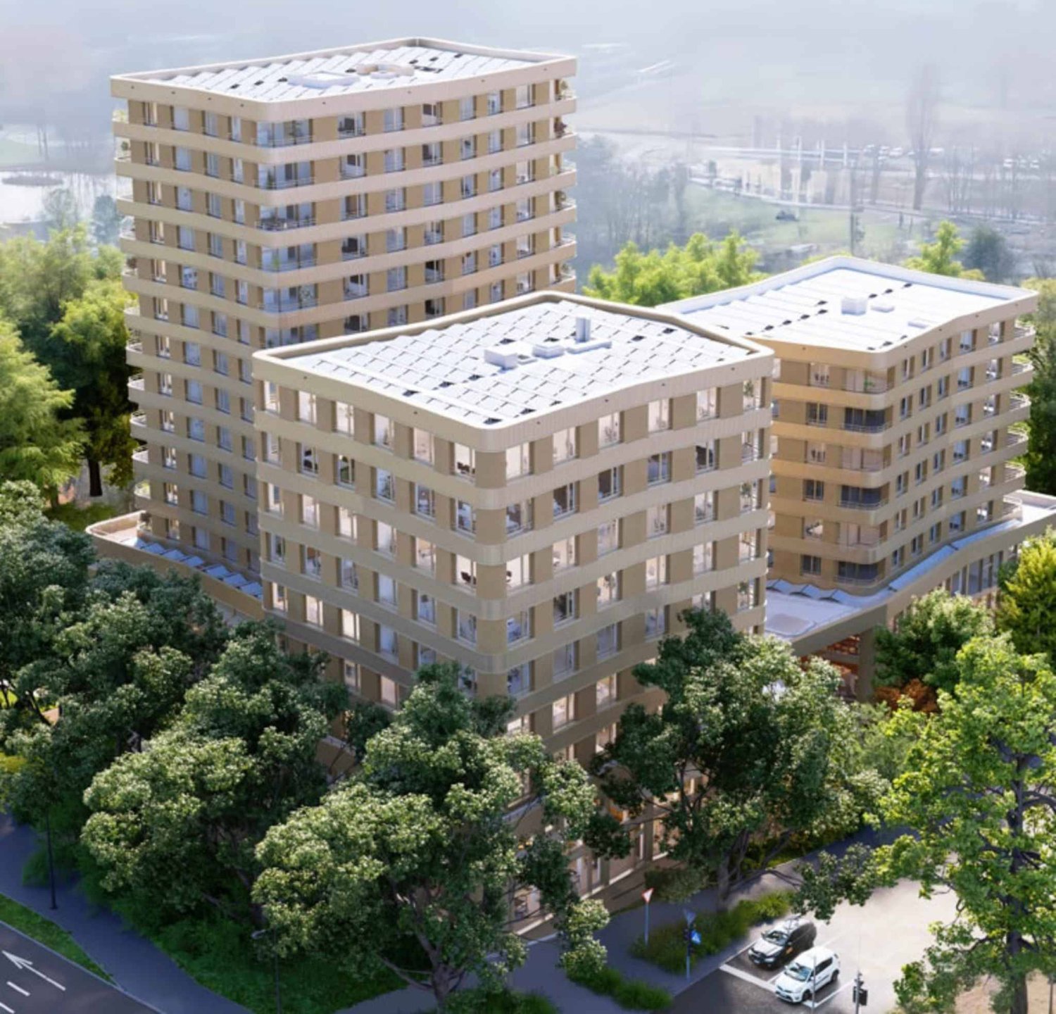 220m² office