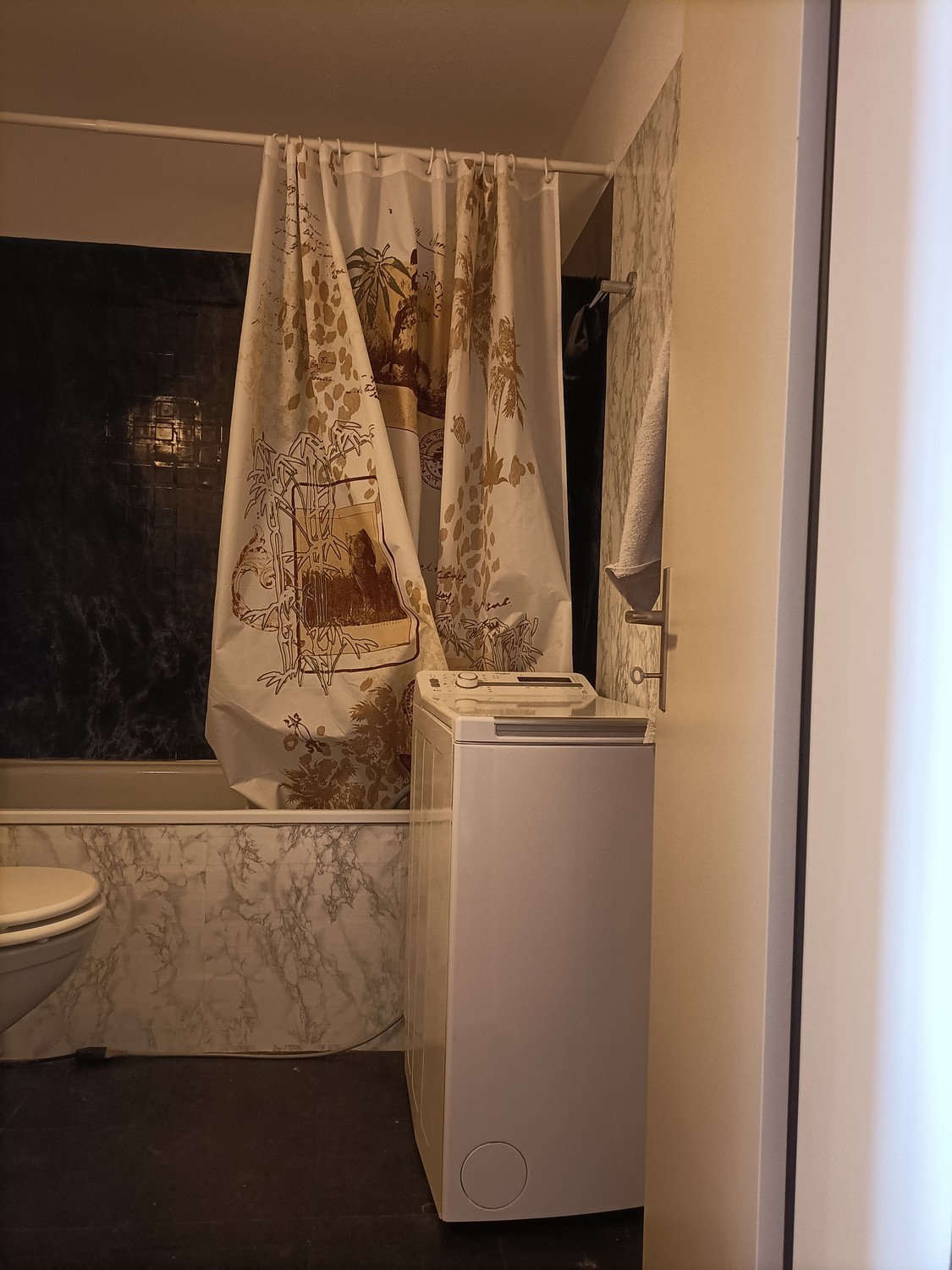 Appartement de 2 ½ pièces, photo 3 sur 7