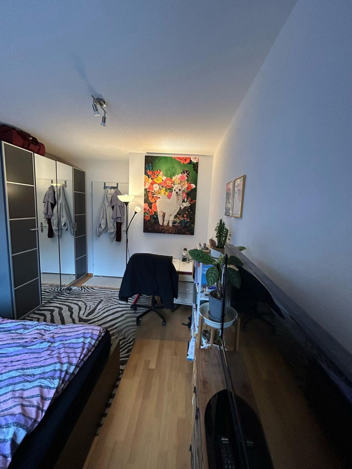 Appartement de 4 ½ pièces, photo 5 sur 5