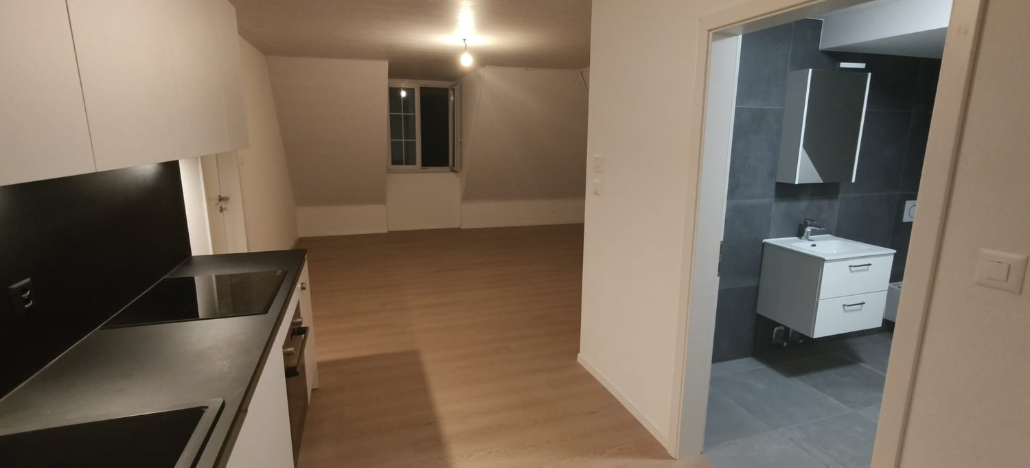 2 ½ rooms roof flat, photo 2 sur 7