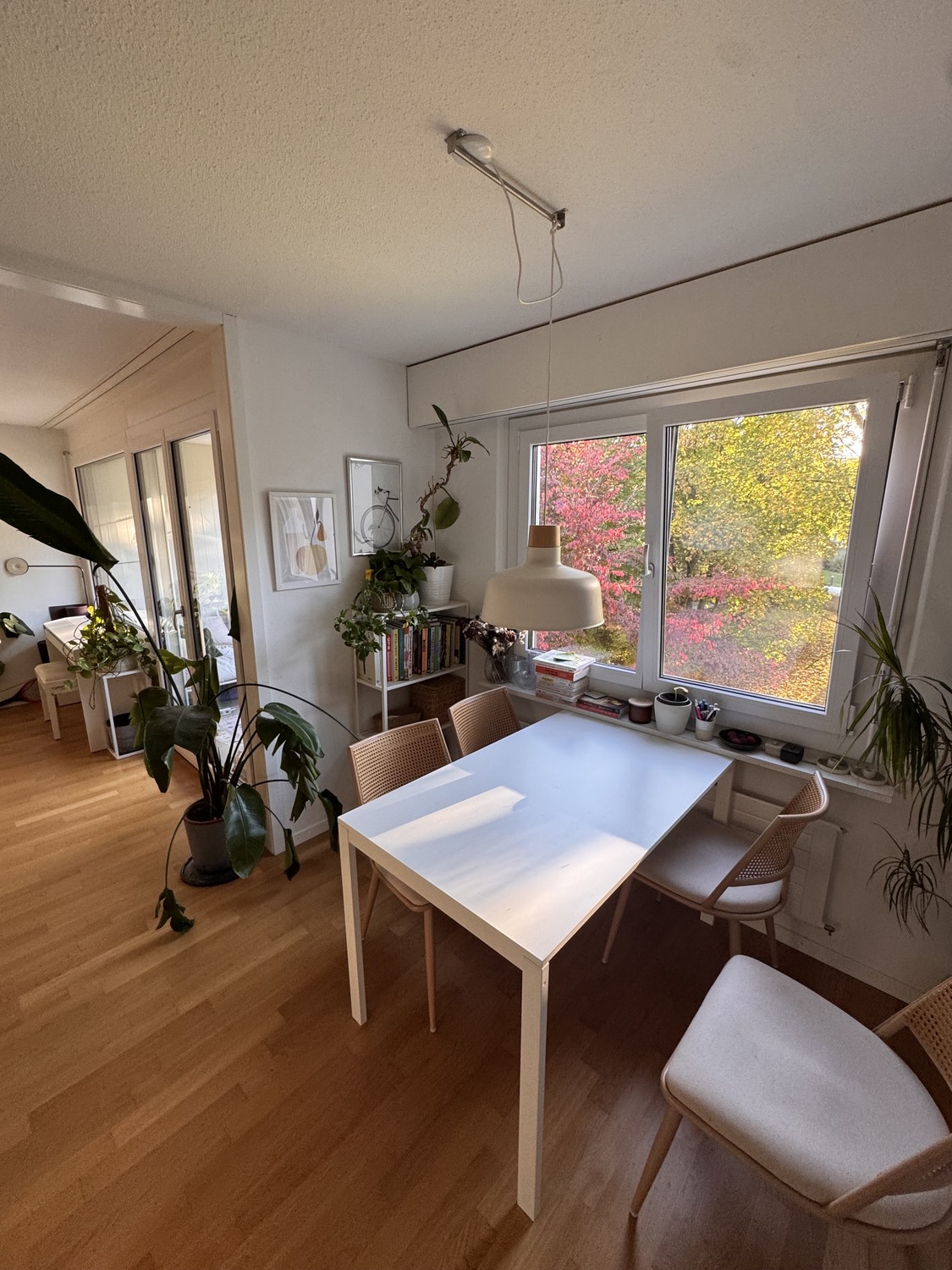 Appartement de 2 ½ pièces, photo 1 sur 9