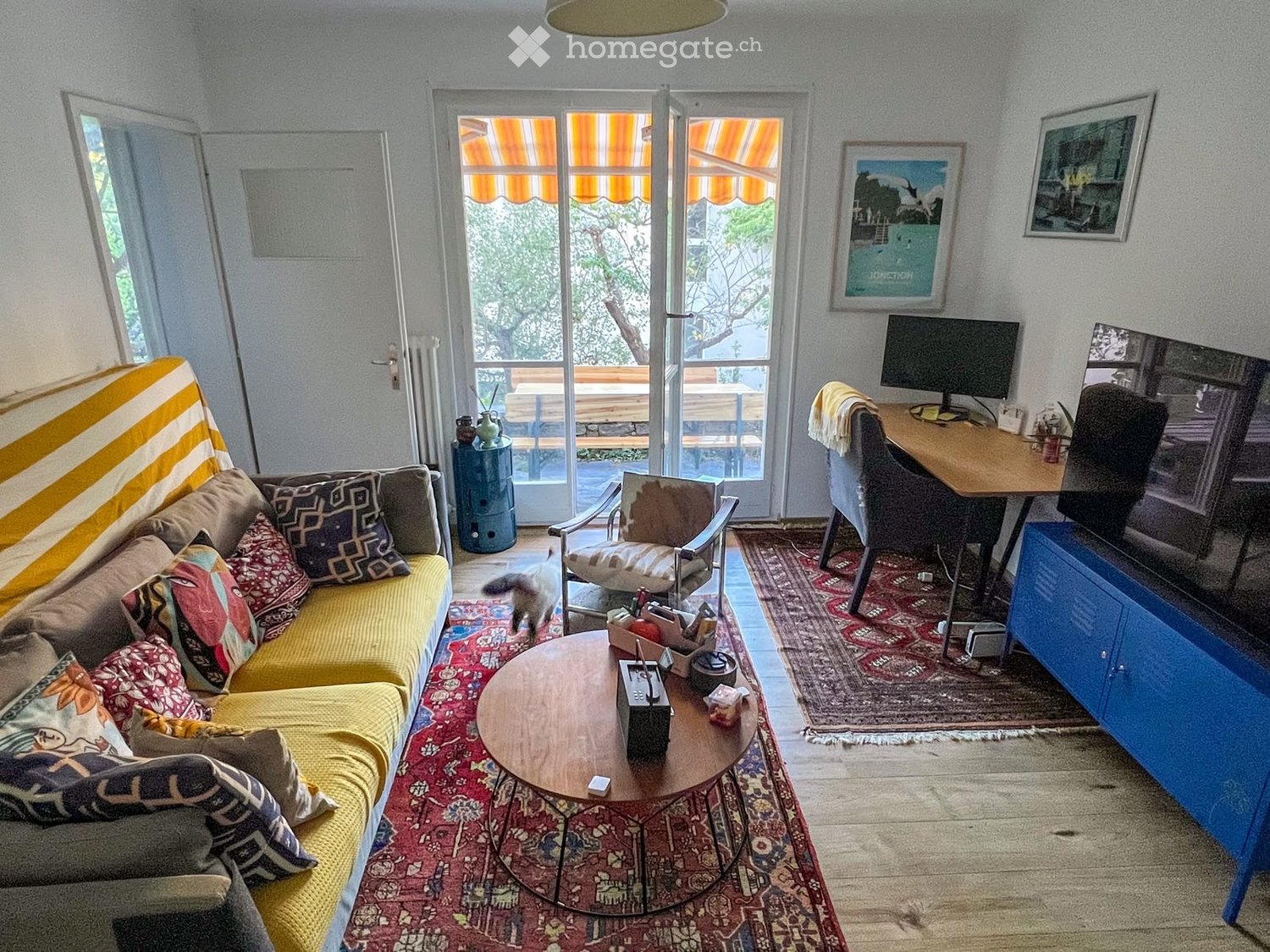 1 room single room
