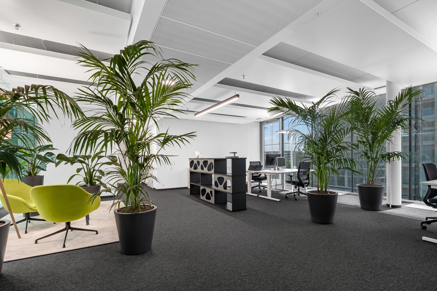 700m² bureau, photo 6 sur 10