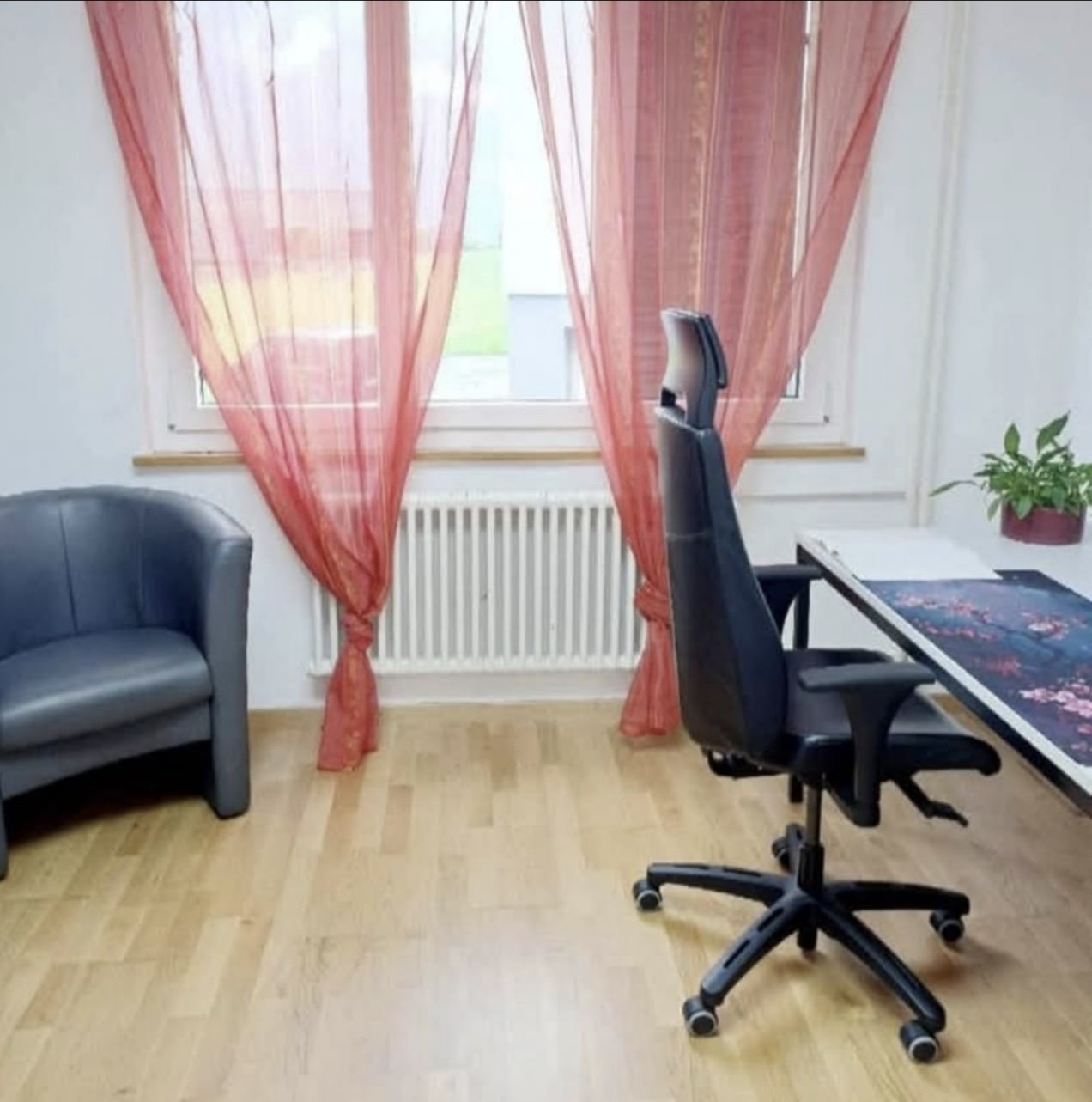 Appartement de 3 ½ pièces, photo 5 sur 8