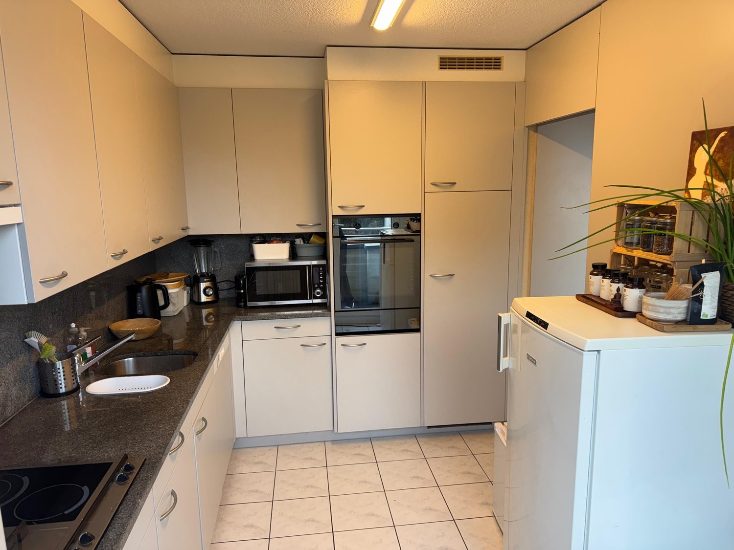 Appartement meublé de 3 ½ pièces