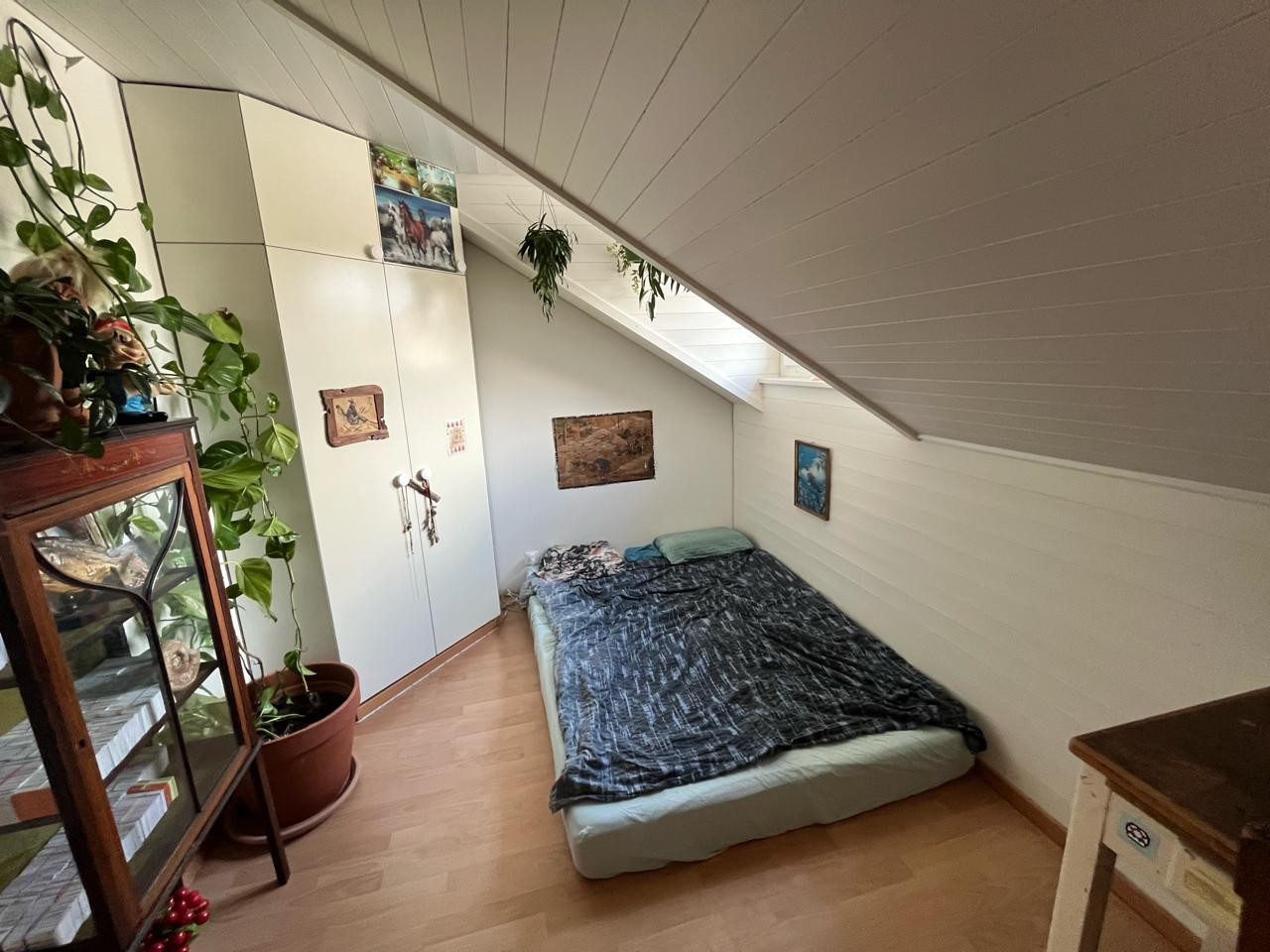 Chambre en colocation, photo 3 sur 8