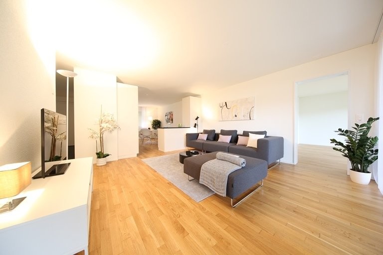 3 ½ pièces appartement, photo 3 sur 8