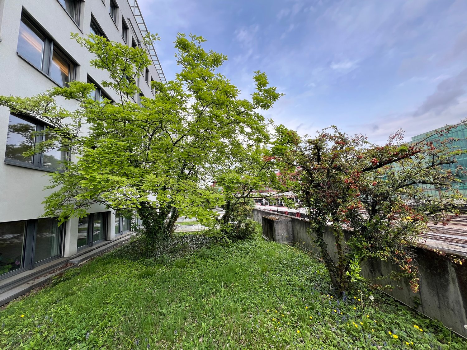 Magasin de 200m²