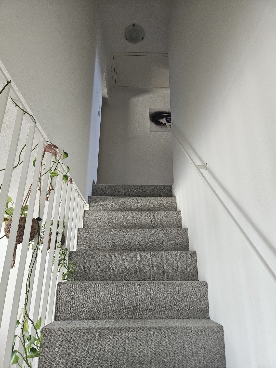 Appartement de 3 ½ pièces, photo 3 sur 6