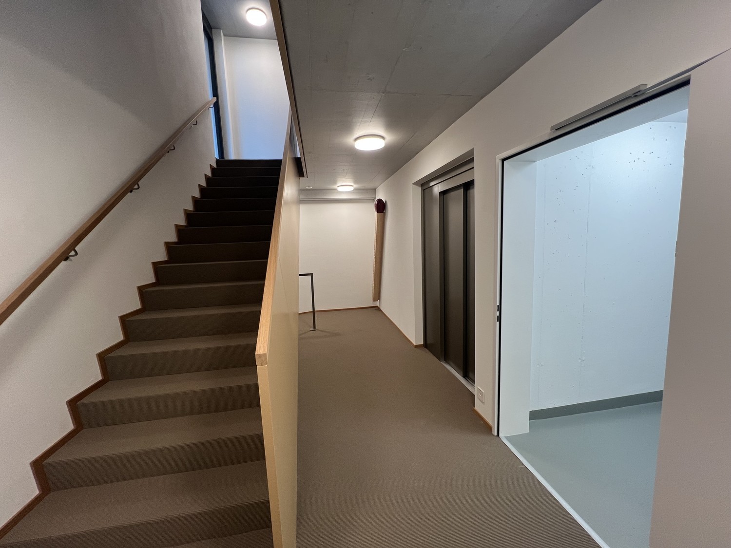 Appartement 1 pièce, photo 4 sur 6