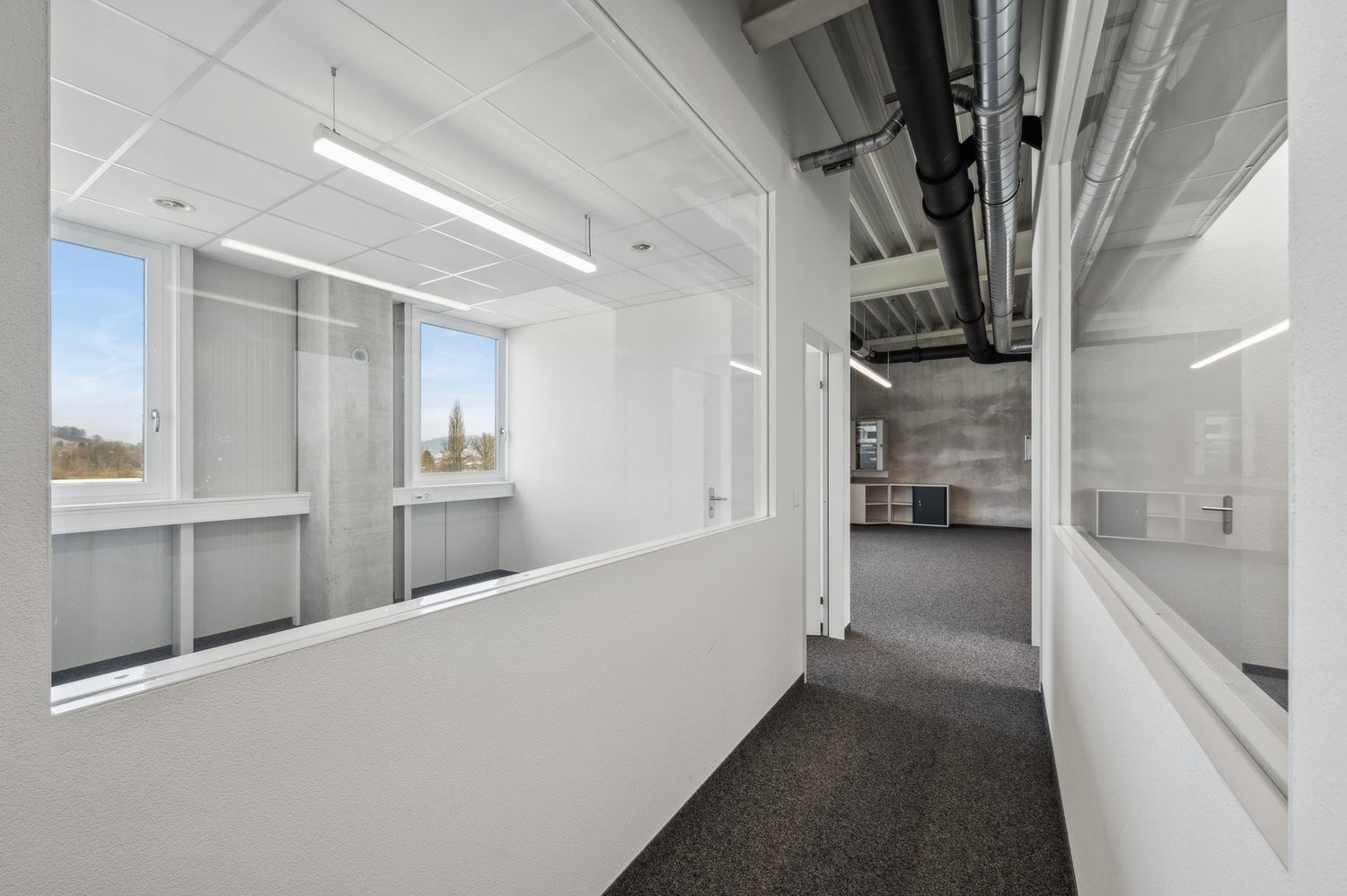 258m² bureau, photo 5 sur 9