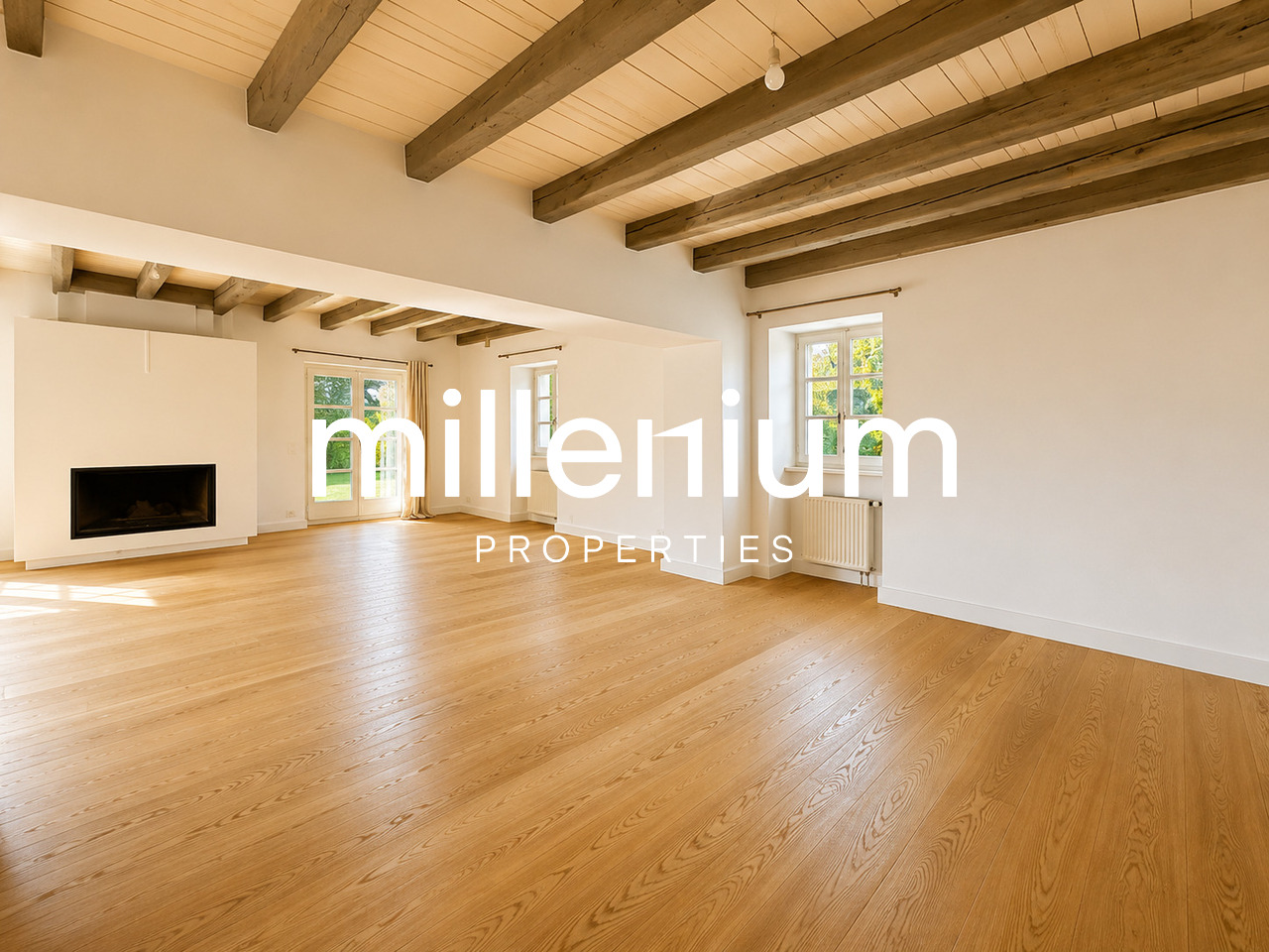 12 rooms villa, photo 6 sur 10