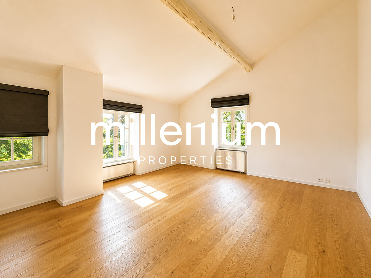12 rooms villa, photo 10 sur 10