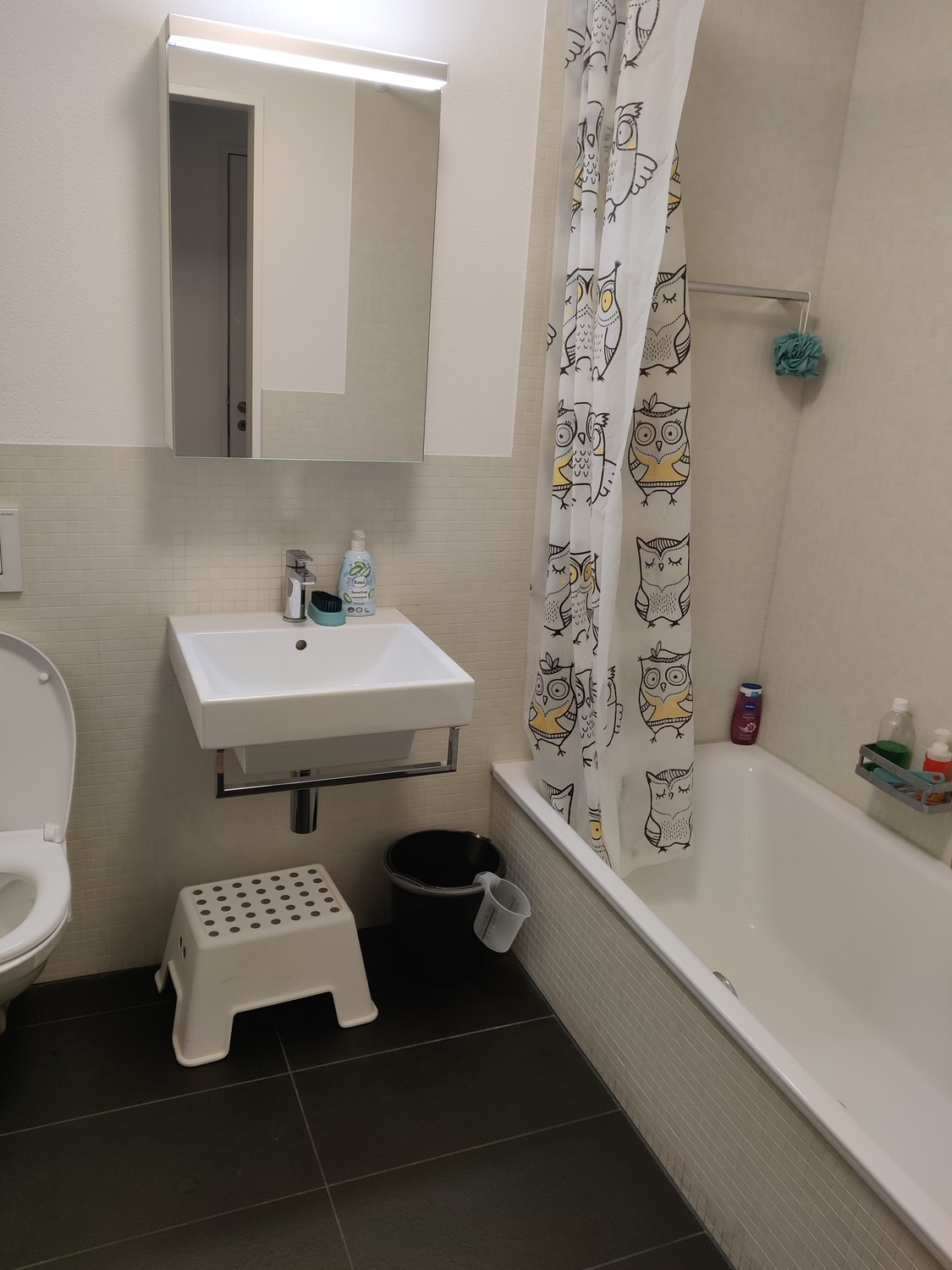 Appartement de 3 ½ pièces, photo 7 sur 9