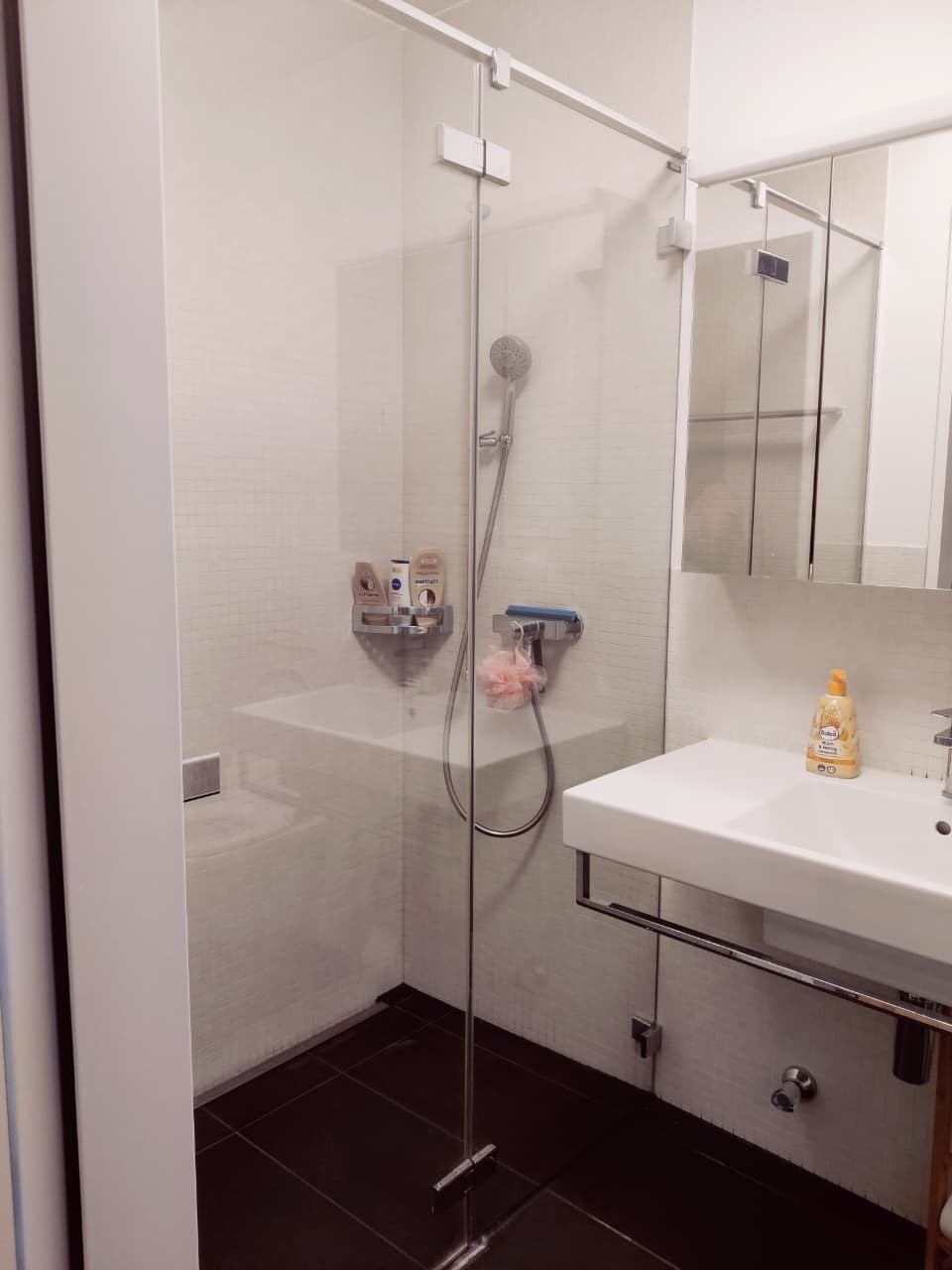 Appartement de 3 ½ pièces, photo 4 sur 9