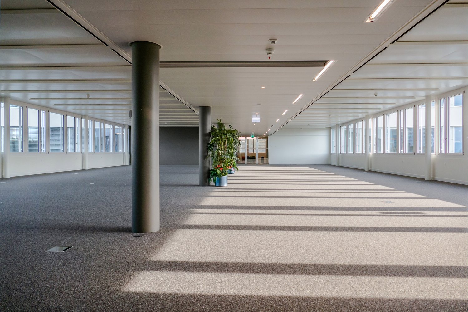 570m² office, photo 4 sur 10