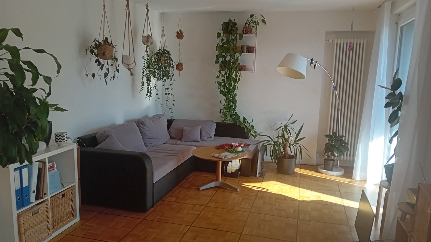 Chambre en colocation