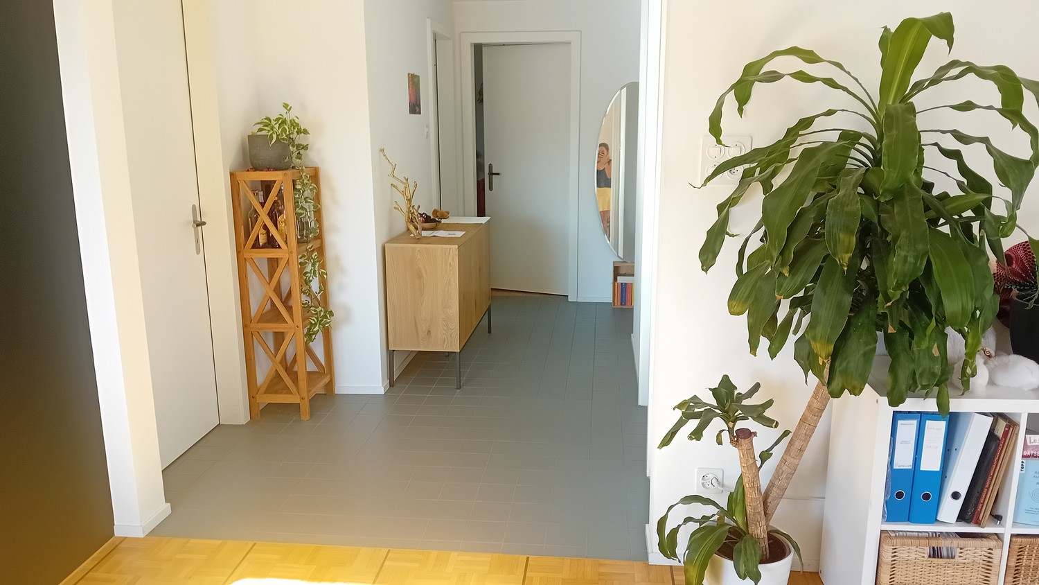 Chambre en colocation