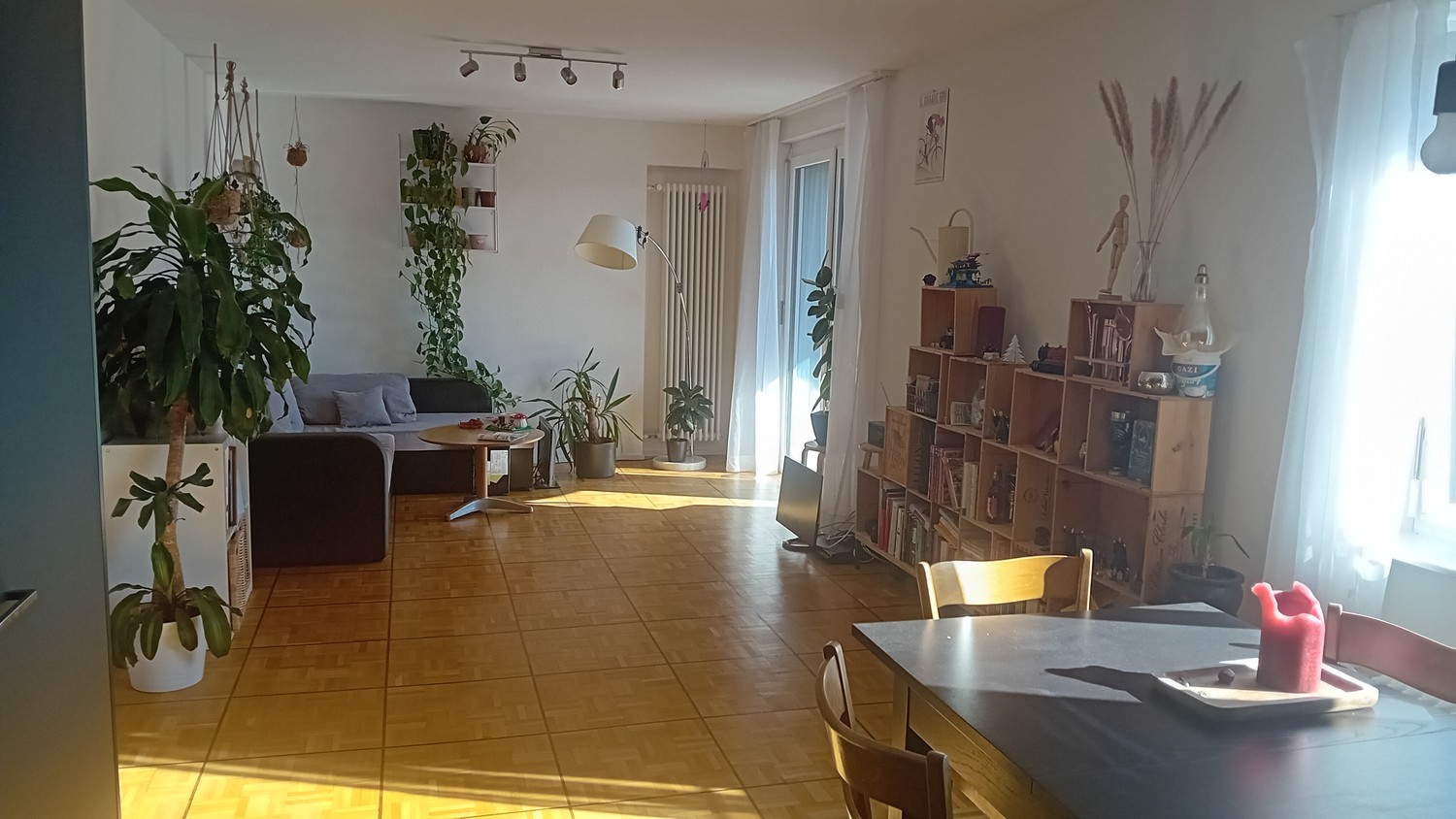 Chambre en colocation