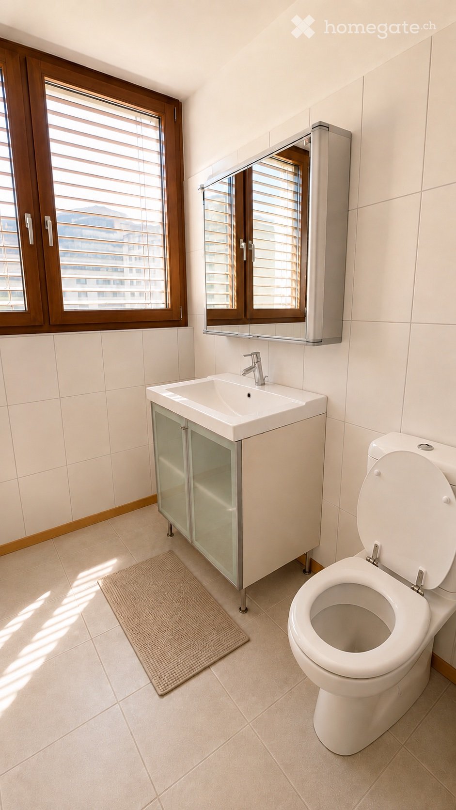 Appartement de 3 ½ pièces