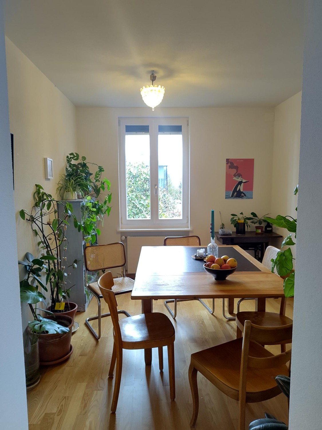 Chambre en colocation, photo 7 sur 7