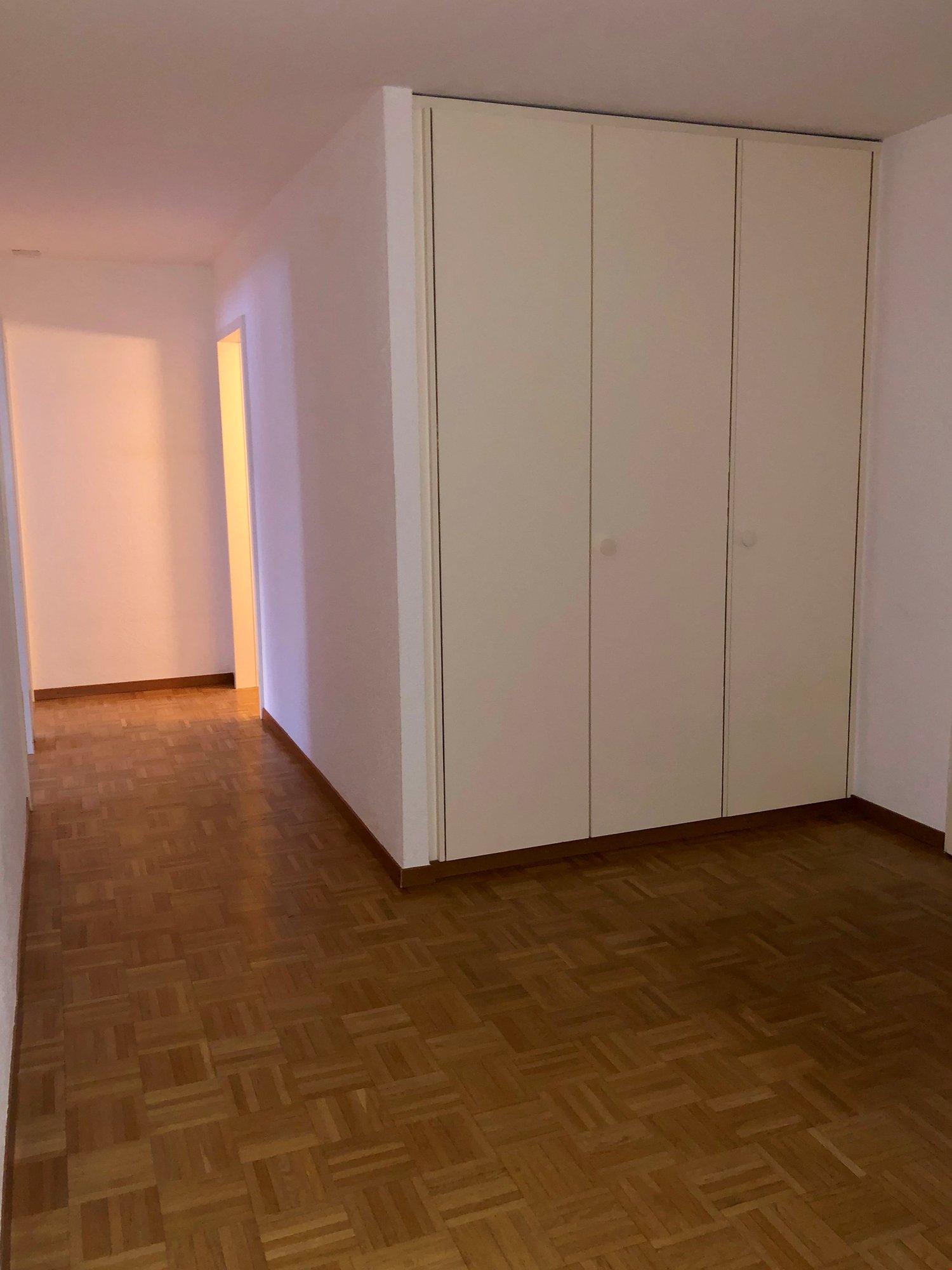 Appartement de 3 ½ pièces