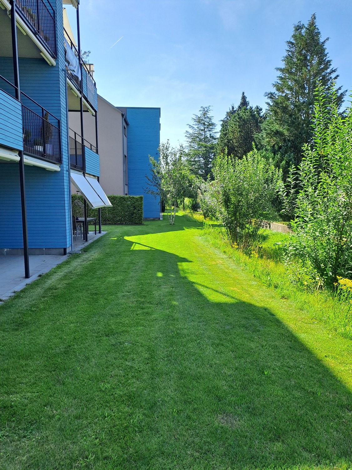 Appartement de 2 ½ pièces, photo 6 sur 8