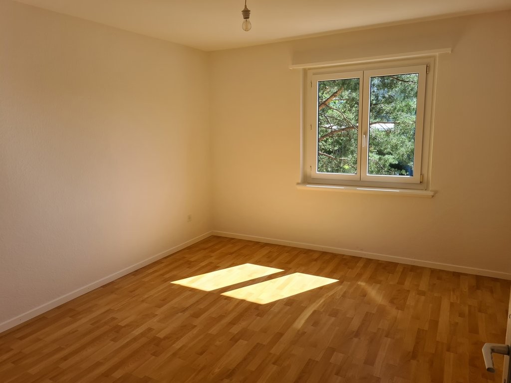 2 ½ pièces appartement