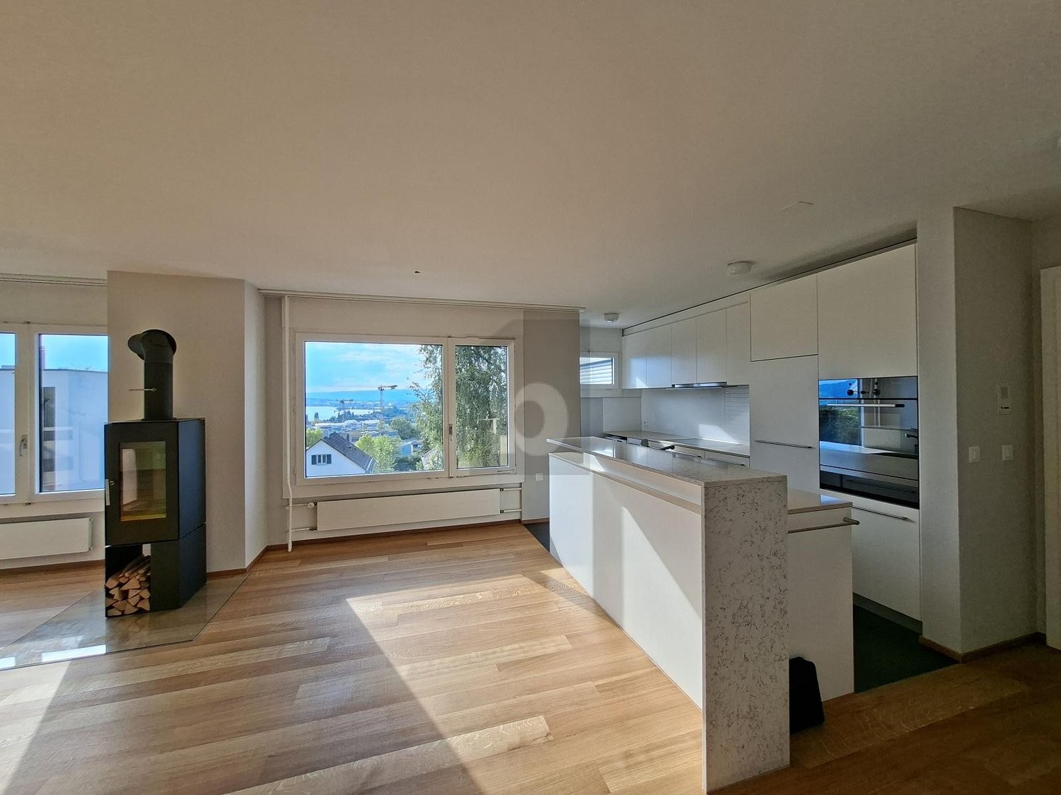 Appartement de 3 ½ pièces