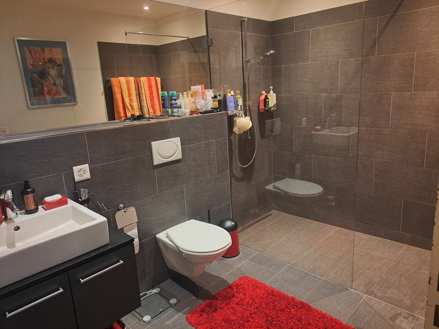 Appartement de 4 ½ pièces